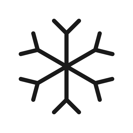 Snowflake thin icon, thin style, from Phosphor