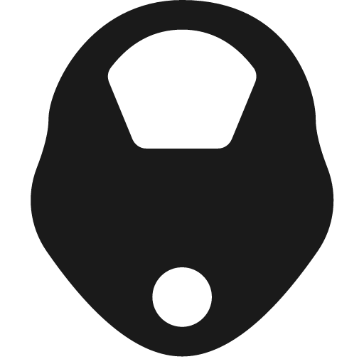 Bullet train icon, solid style, from Pinhead Map Icons