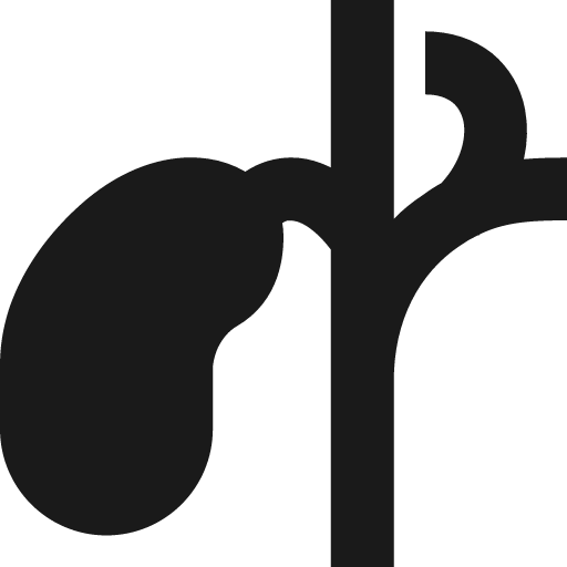 Gallbladder icon, solid style, from Pinhead Map Icons