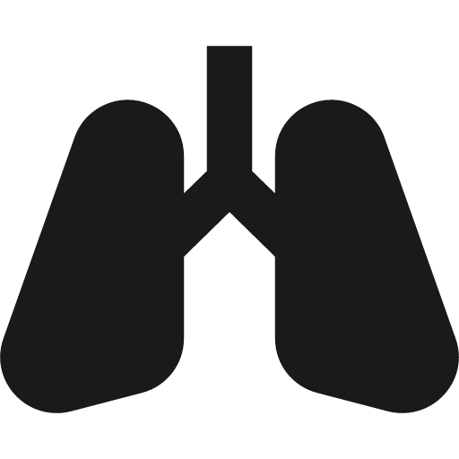 Lungs icon, solid style, from Pinhead Map Icons
