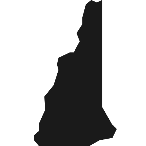 New hampshire icon, solid style, from Pinhead Map Icons