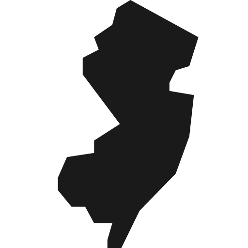 New jersey icon, solid style, from Pinhead Map Icons