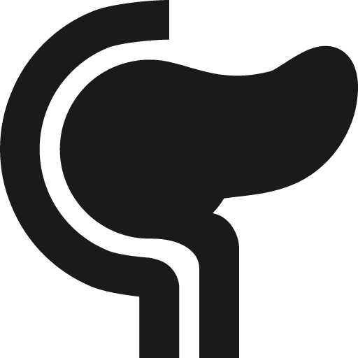 Pancreas icon, solid style, from Pinhead Map Icons