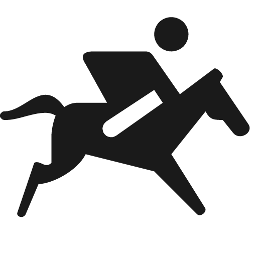 Person jockeying horse running icon, solid style, from Pinhead Map Icons