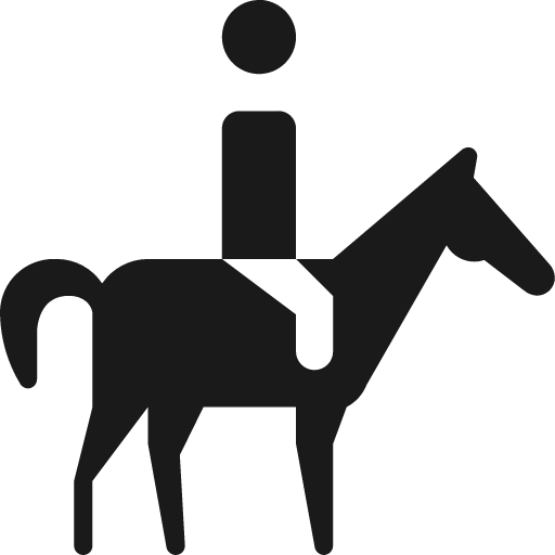 Person riding horse icon, solid style, from Pinhead Map Icons
