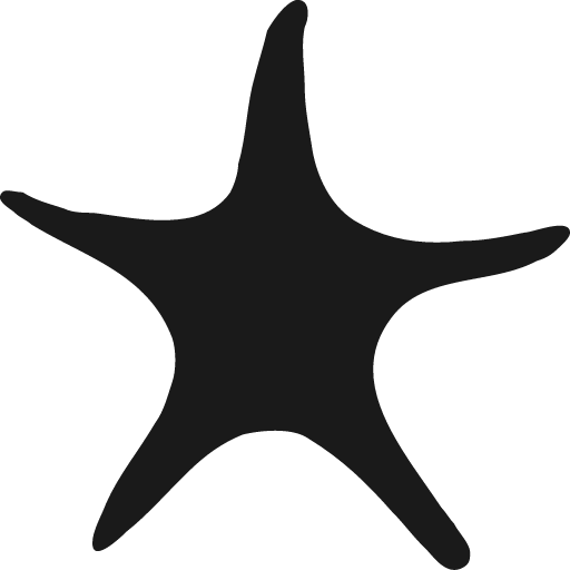 Sea star icon, solid style, from Pinhead Map Icons