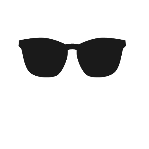 Glasses icon, solid style, from Raphael
