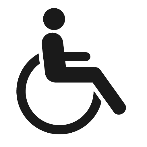 Wheelchair icon, solid style, from Raphael