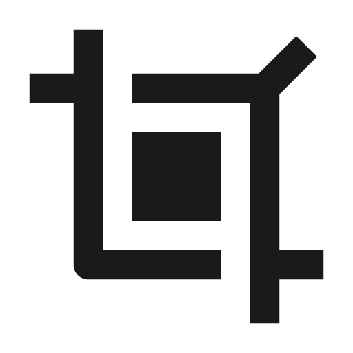 Crop 2 fill icon, filled style, from Remix Icon