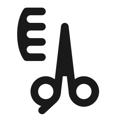 Comb and scissors icon, solid style, from Röntgen