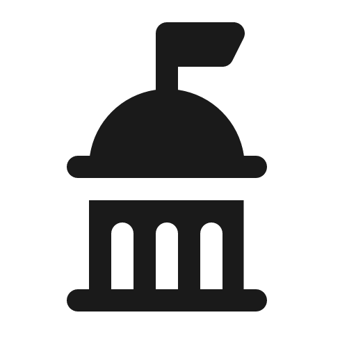 Government icon, solid style, from Röntgen