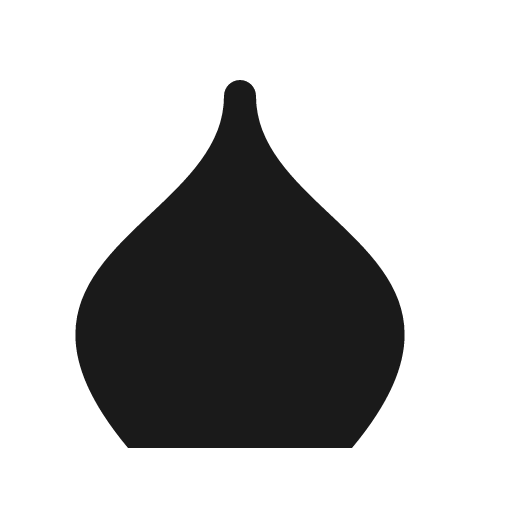 Onion roof shape icon, solid style, from Röntgen