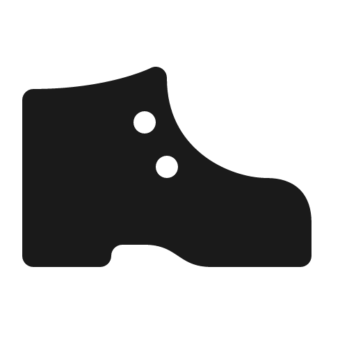 Shoe icon, solid style, from Röntgen