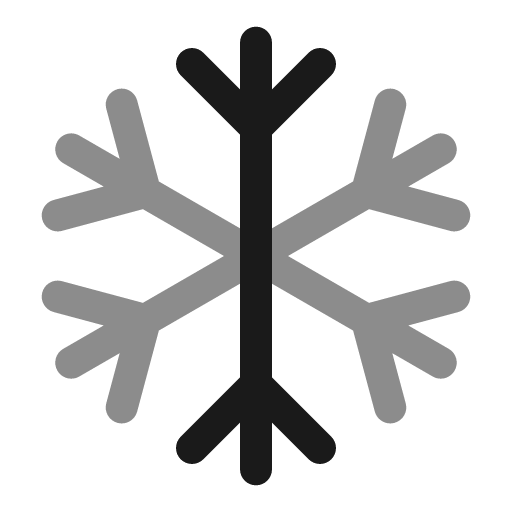 Snowflake bold duotone icon, two-tone style, from Solar