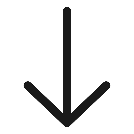 Arrow down large duotone icon, two-tone style, from Stash Icons