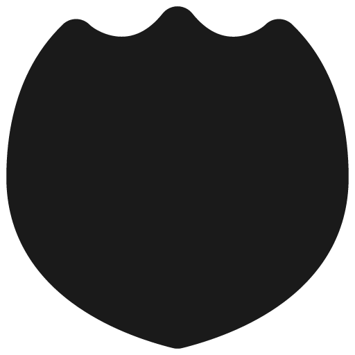 Shield 2 solid icon, filled style, from Flex free icons