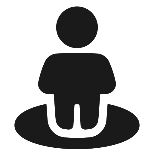 User pin solid icon, filled style, from Plump free icons