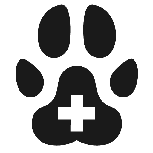 Veterinary care icon, solid style, from Temaki