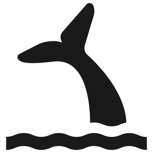 Whale watching icon, solid style, from Temaki