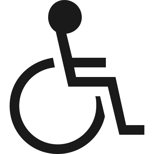 Accessibility icon, solid style, from Vaadin Icons