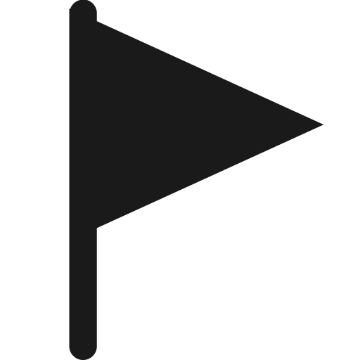 Filled flag icon, solid style, from Icons8 Windows 8 Icons