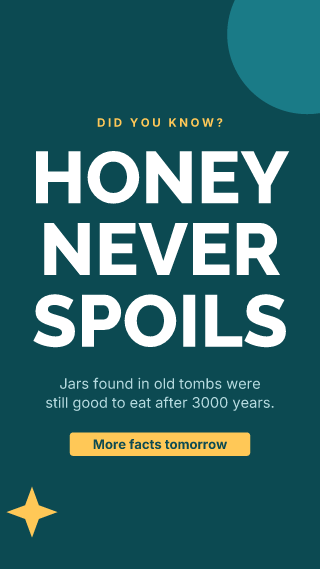 Did you know?: story template