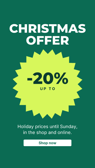 Christmas: holiday offer: Christmas template