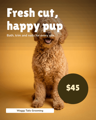 Pet grooming: post template