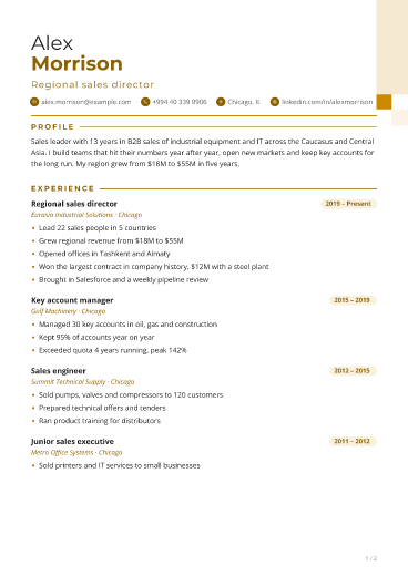 Mustard Bold: resume template