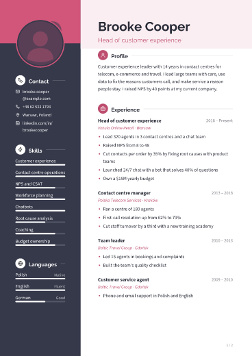 Slate Rose: resume template