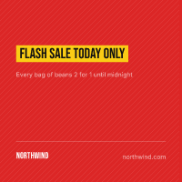 Flash sale: social media post template